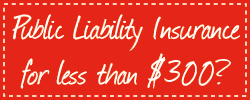 Public Liability Insurance for less than $300